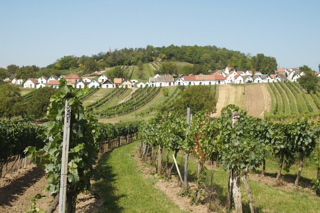 Gaestehaus Weinviertel - Niederoesterreich Siebenhirten エクステリア 写真